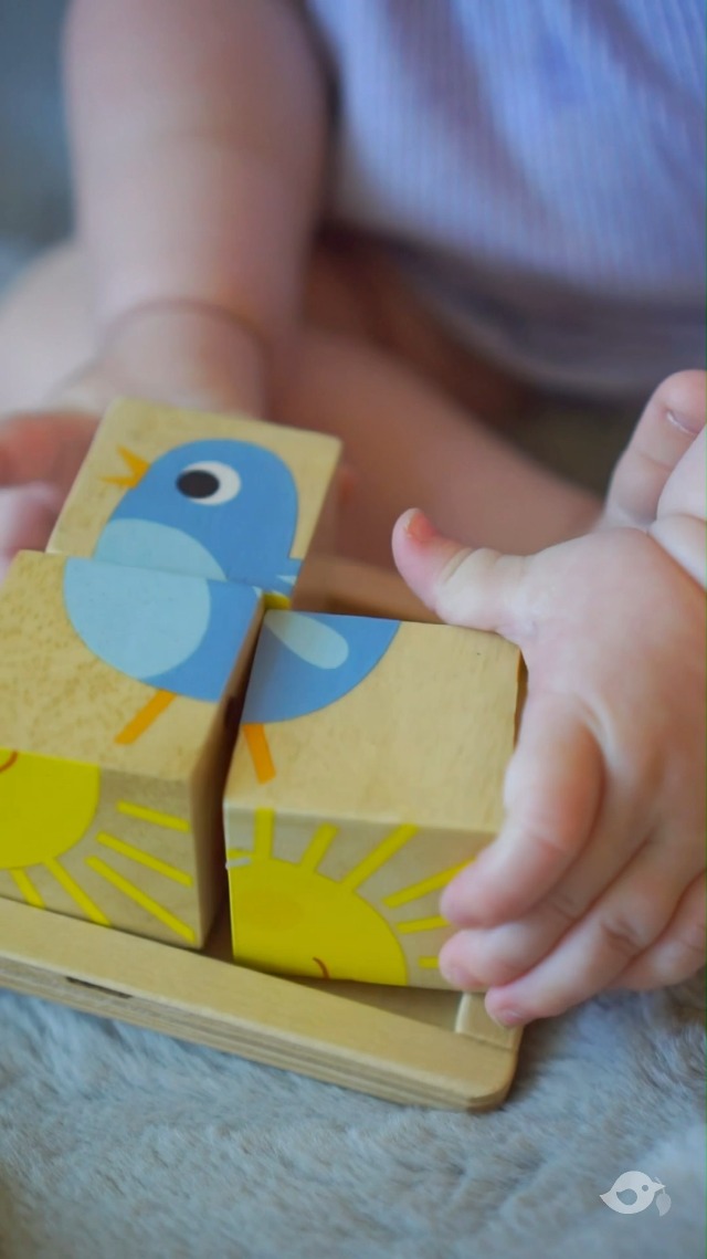 Amazon.com: Tender Leaf Toys - Baby Blocks - 5 Pieces My First